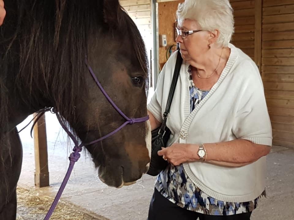 Darcy's Equine Assisted Learning in the Community -1