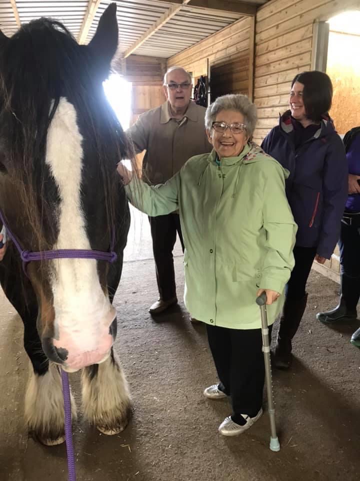 Darcy's Equine Assisted Learning in the Community -2